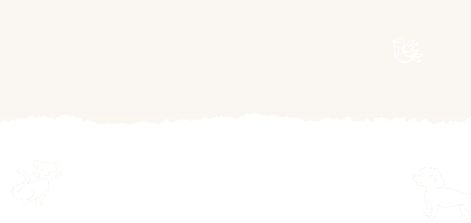 3 Signs It’s Time for the First Pets Dental Cleaning