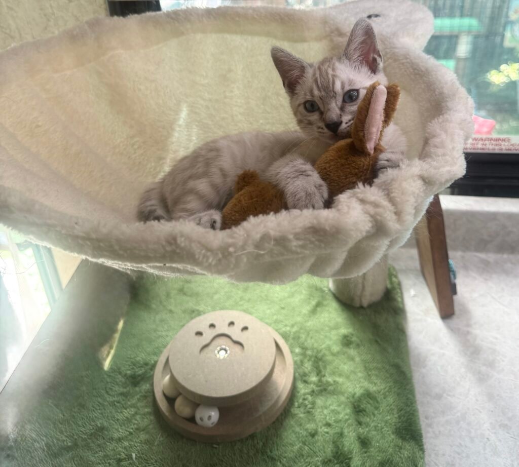 Where passion meets pedigree