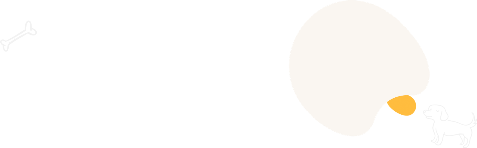 Understanding Zoonotic and Safeguarding Health