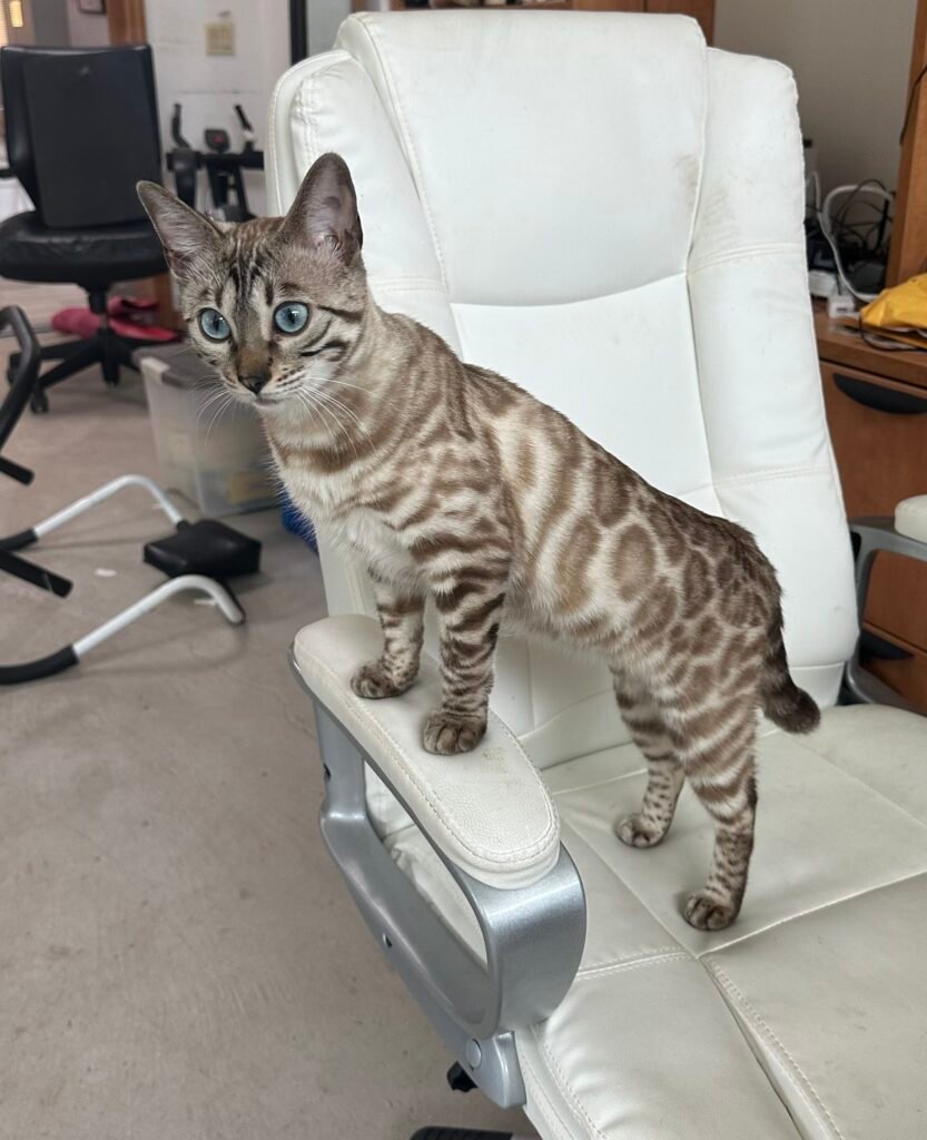 Where passion meets pedigree